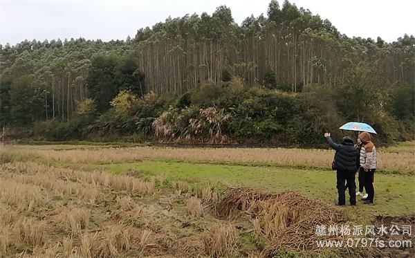 邵阳市陈老师带着爱徒寻龙点穴